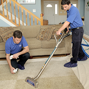 Professional carpet cleaning service Hertfordshire