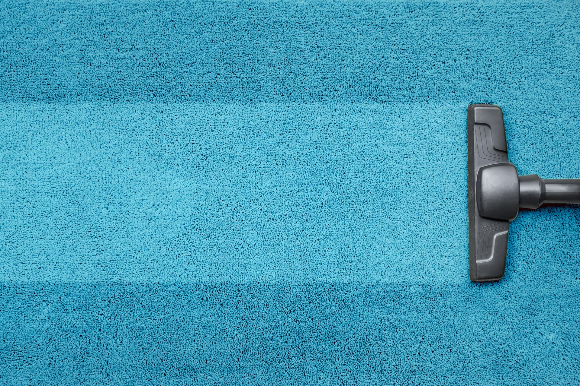 Carpet Cleaning