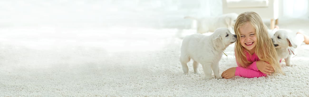 Professional carpet cleaning