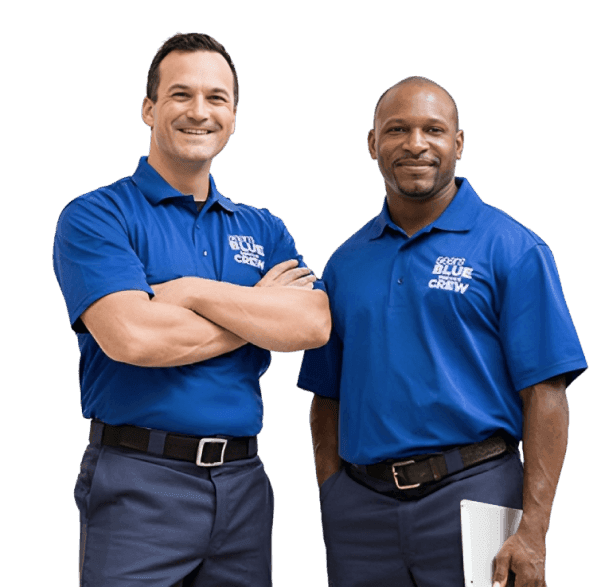 Professional carpet cleaning technicians