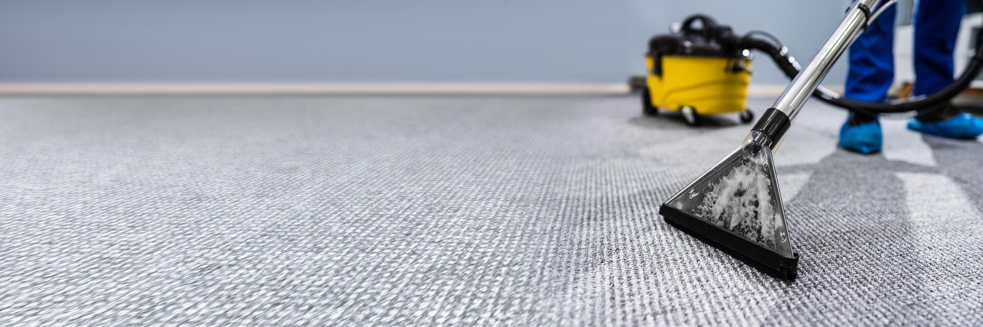 Professional carpet cleaning equipment and process